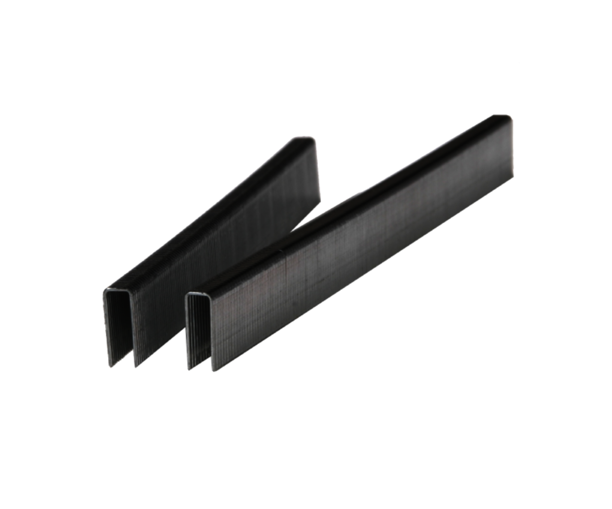 F922_비오스테플_2400 (1) (1).png