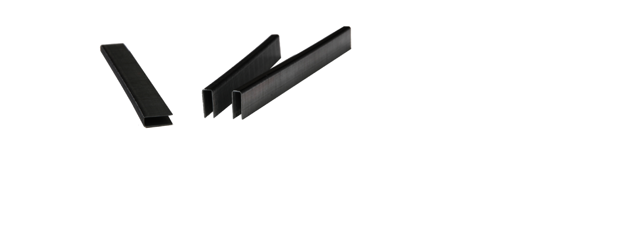 F924_비오스테플_2400 (3) (1).png